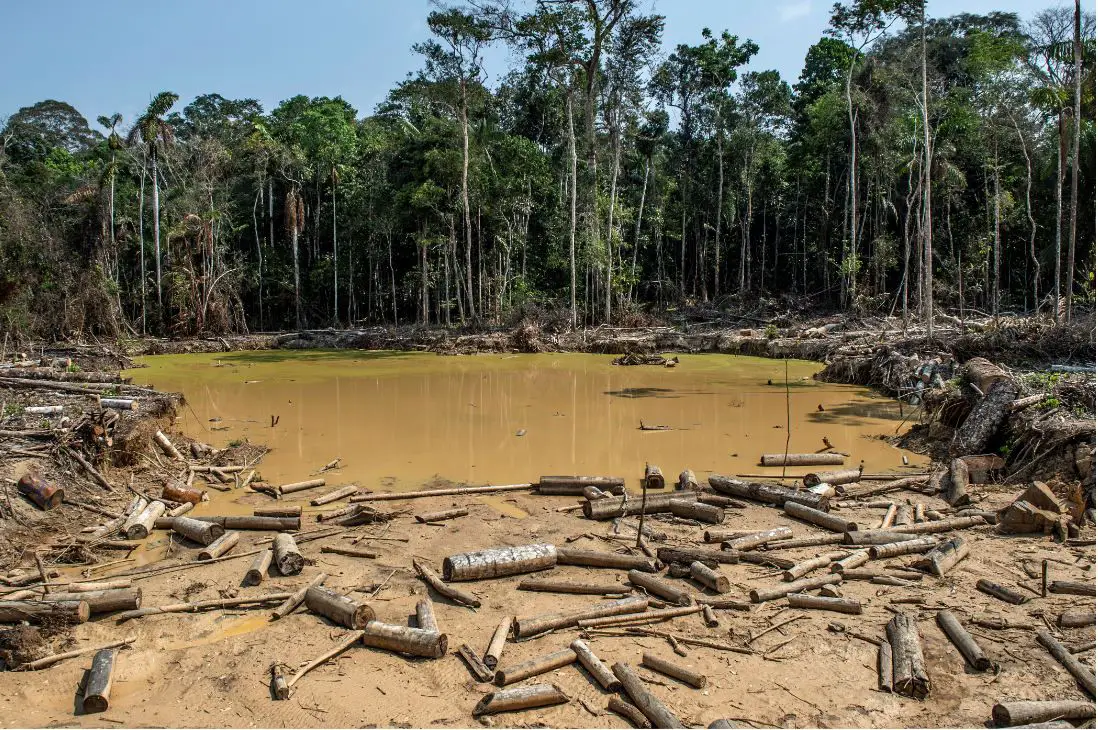 Se aprobó la ley de delitos ambientales en Colombia