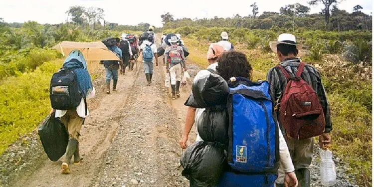 Desplazamiento en Colombia aumentó un 196% en 2021: ONU