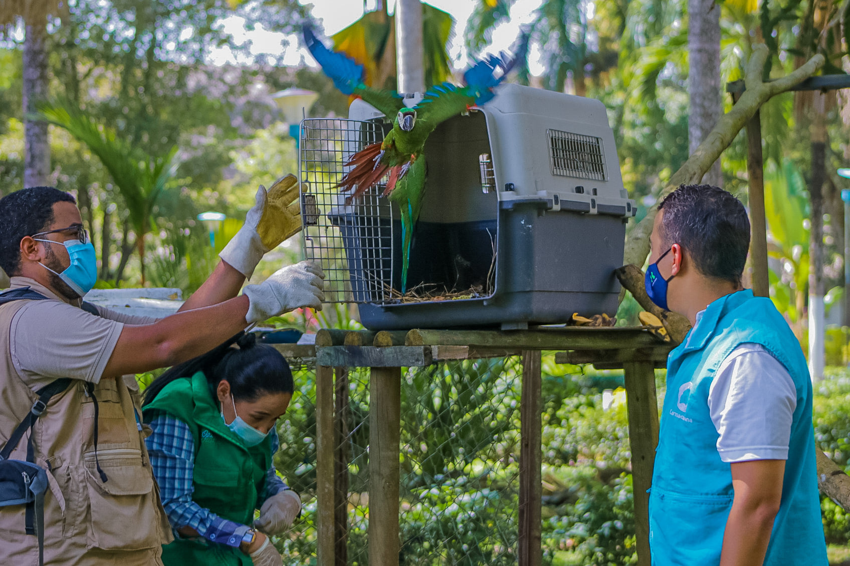 Colombia evaluará cómo está la lucha contra los delitos ambientales