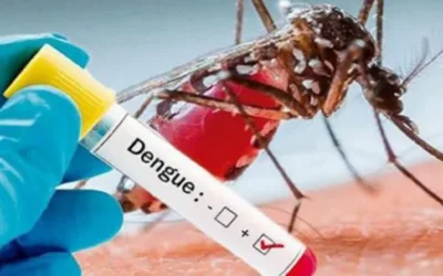 Dengue deja más de 62.000 personas contagiadas en Colombia