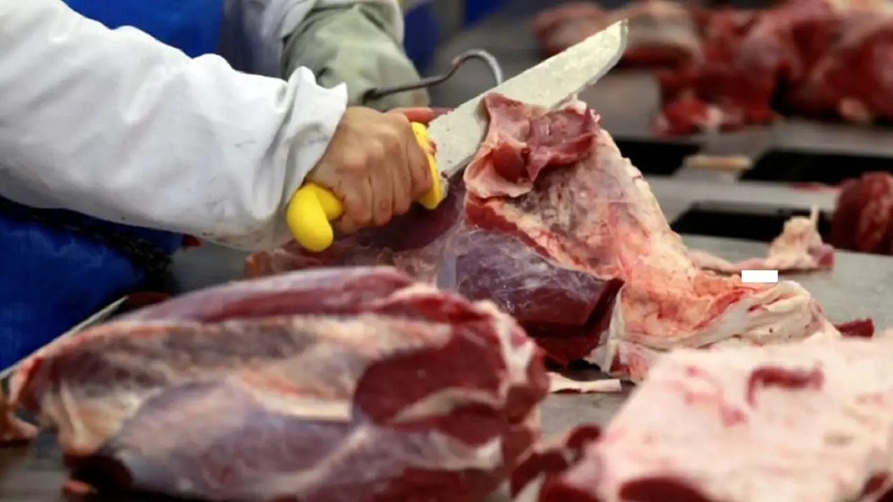Exportaciones de carne entre enero y agosto de 2021 superaron las de 2020