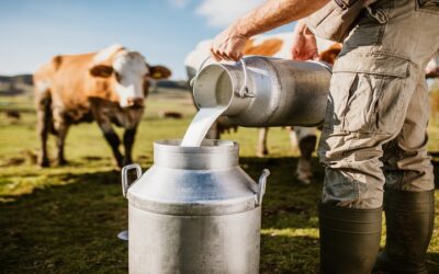 Sector lácteo bajo presión, duelo entre productores e industriales
