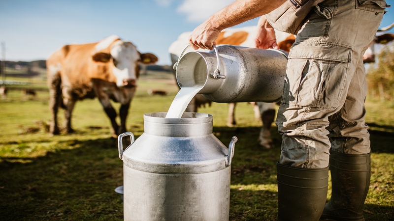 Sector lácteo bajo presión, duelo entre productores e industriales
