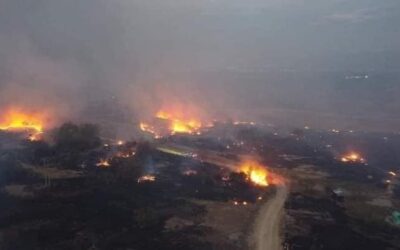 La calamidad en Palermo es devastadora