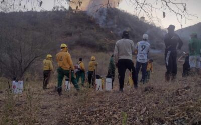 Barristas del Atlético Huila se suman como voluntarios