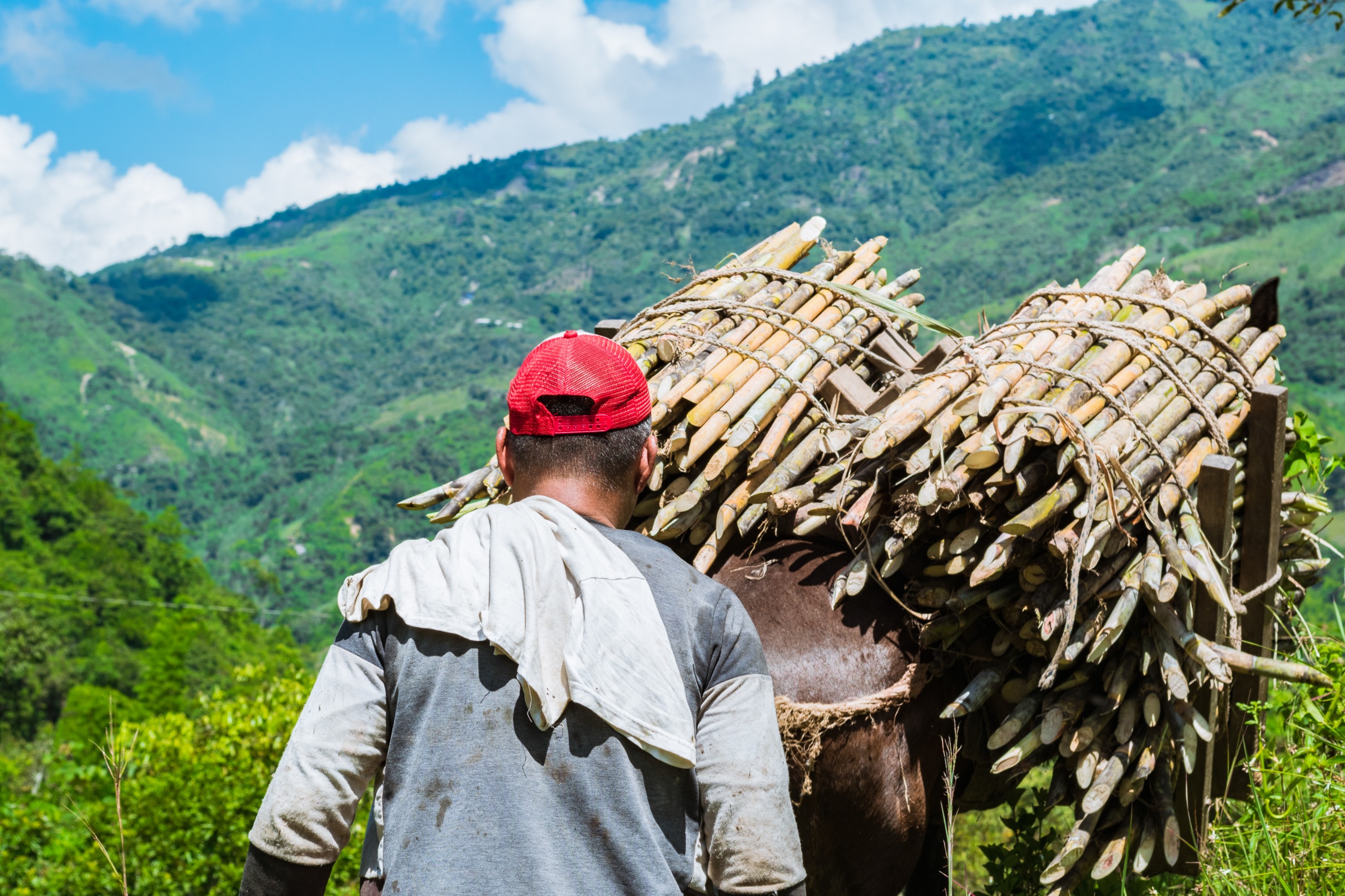 Agencia Italiana de Cooperación impulsará desarrollo rural en el Huila