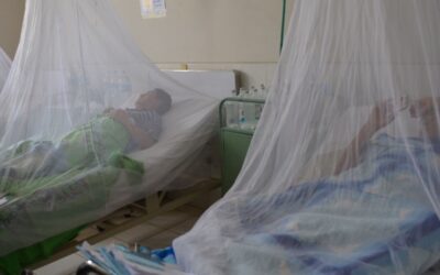 Aumentan a 8 las víctimas mortales por  dengue en Huila
