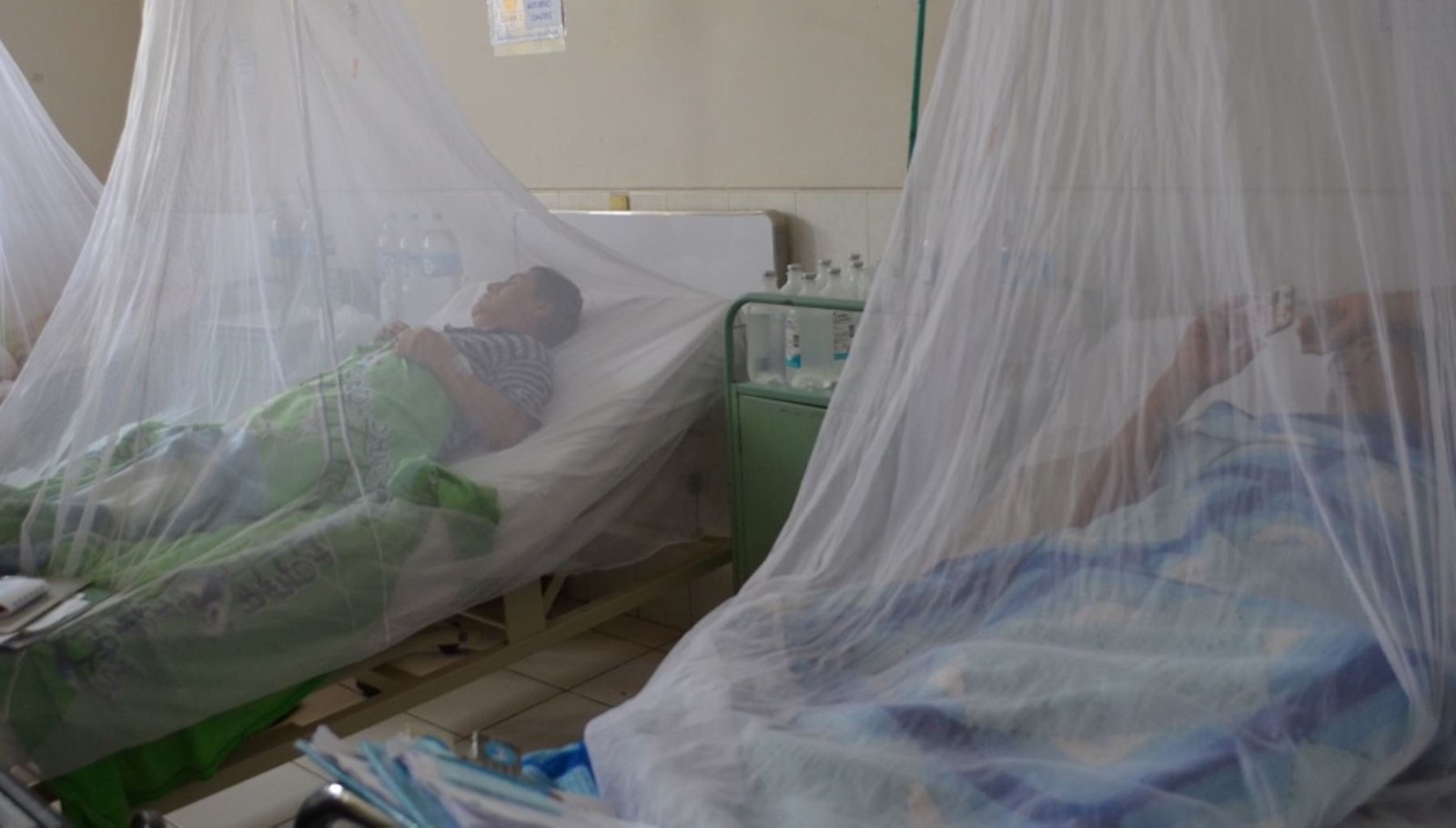Aumentan a 8 las víctimas mortales por  dengue en Huila