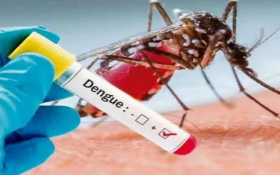 Dengue: ¿cuáles son los factores de riesgo y cómo saber si se infectó?