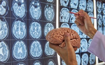 Polución y desigualdad aceleran el envejecimiento cerebral