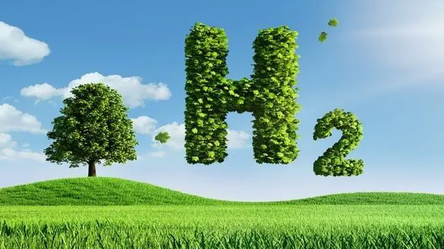 Cooperación internacional para la sostenibilidad ambiental: la opción con hidrógeno verde