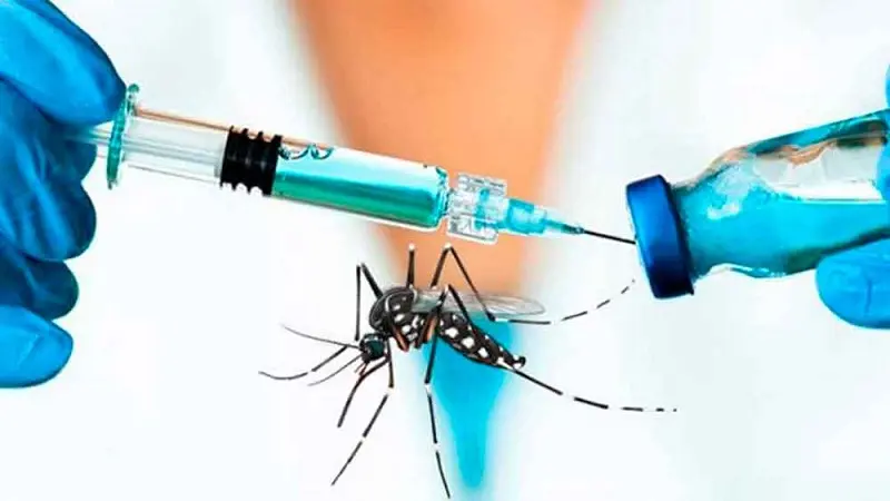 La nueva vacuna contra el dengue aprobada por el Invima