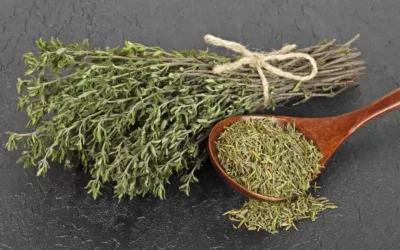 Limpie sus pulmones con esta hierba medicinal