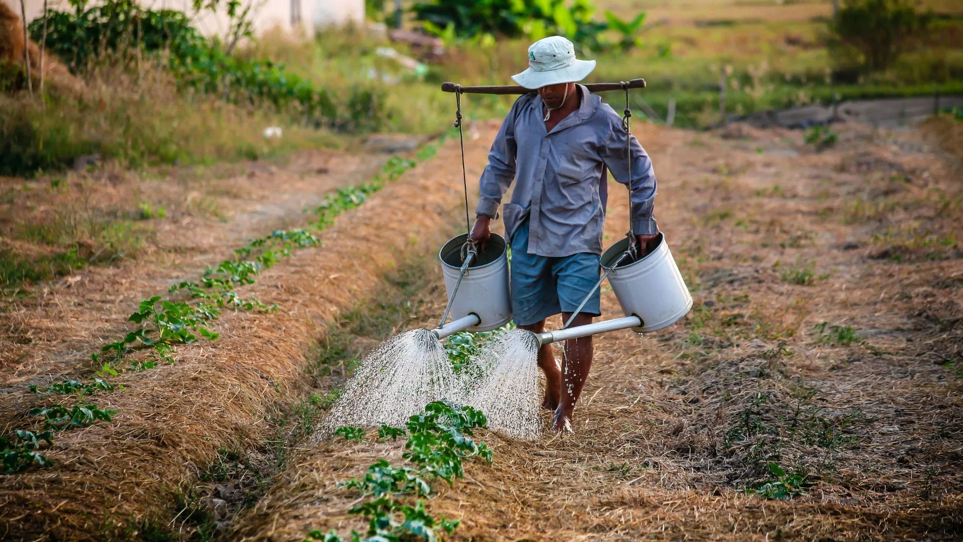 Alivios financieros para productores afectados por el Fenómeno del Niño