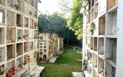 Intervendrán cementerio central de Pitalito