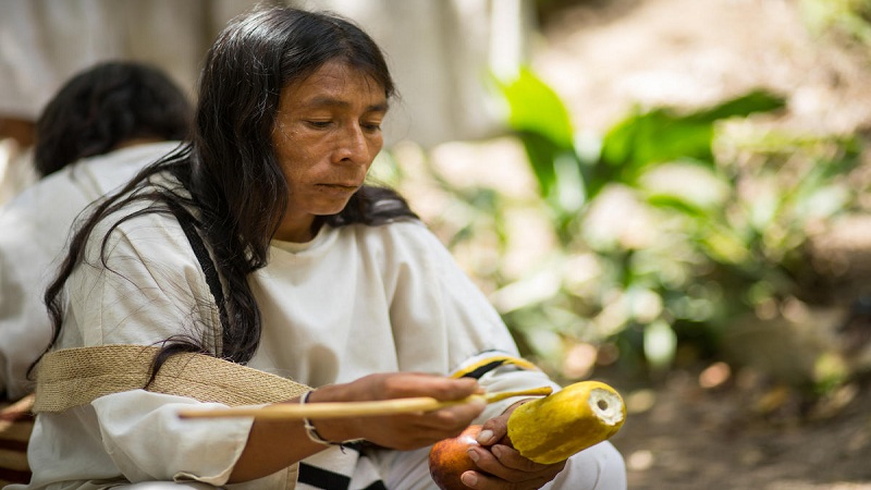 El Renacer de la Literatura Indígena en Colombia