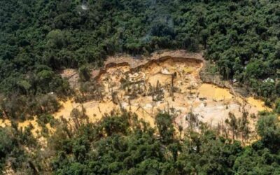 Colombia y Brasil enfrentan desafíos ambientales