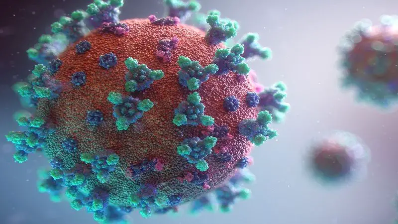 Aparece otra subvariante del Coronavirus que preocupa a EE.UU