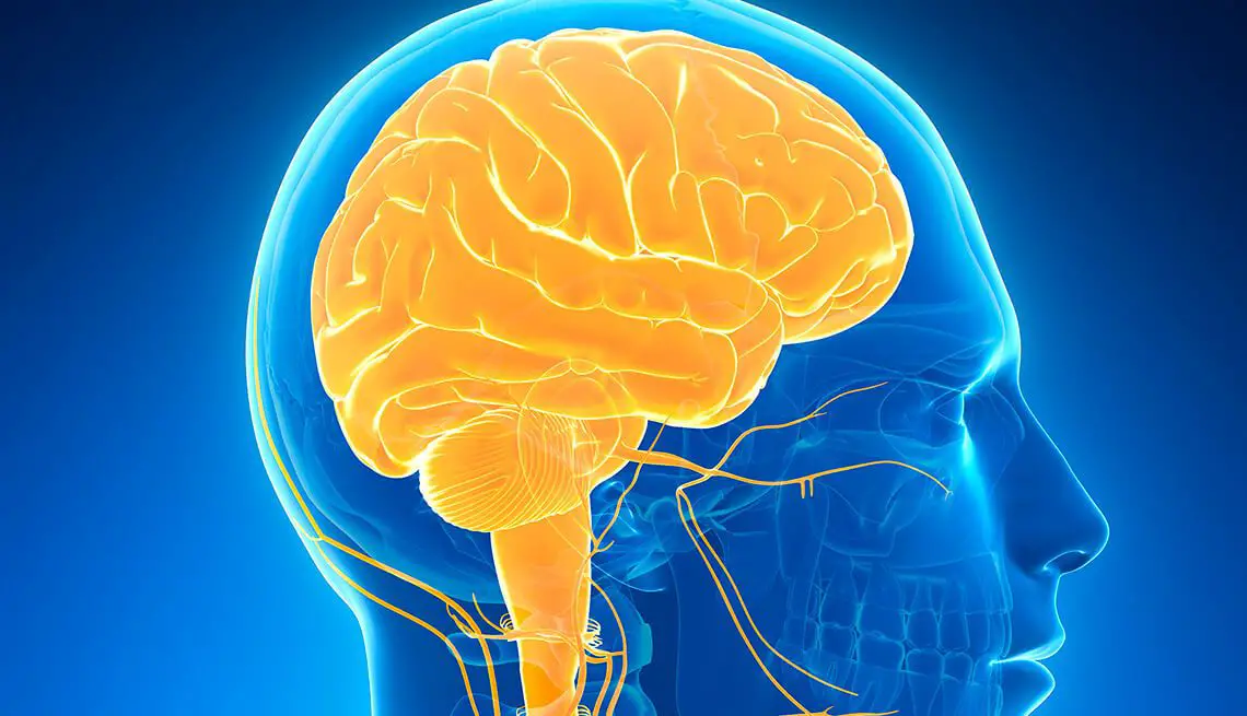 ¿Pierde tamaño el cerebro en pacientes poscovid?