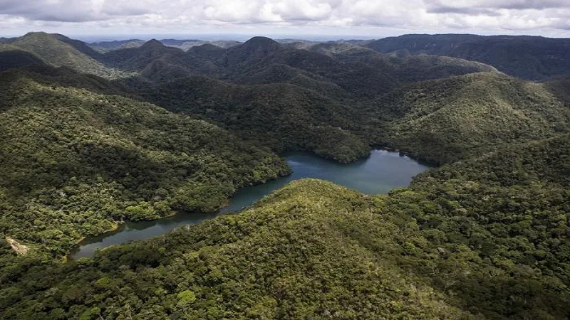 Medida que permite la sustracción de áreas en reservas seria derogada