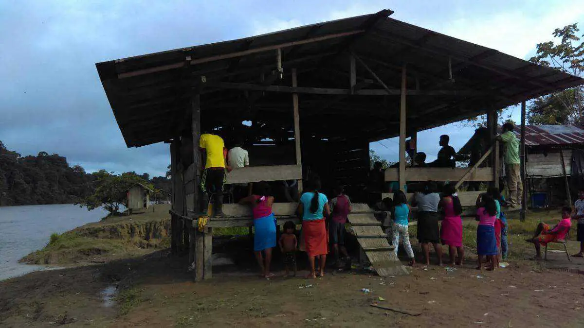 Denuncian crisis humanitaria en Chocó derivada de ataques del ELN y las AGC