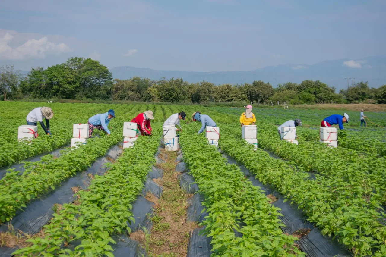 Agricultores preocupados por el impacto de la inflación