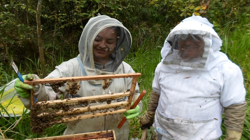 Apicultores del Huila, podrían verse afectados con cambios climáticos