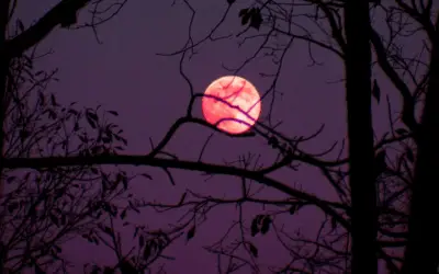 ¿Cuándo ver la luna rosa de abril?