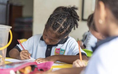 La profunda brecha en la educación y natalidad