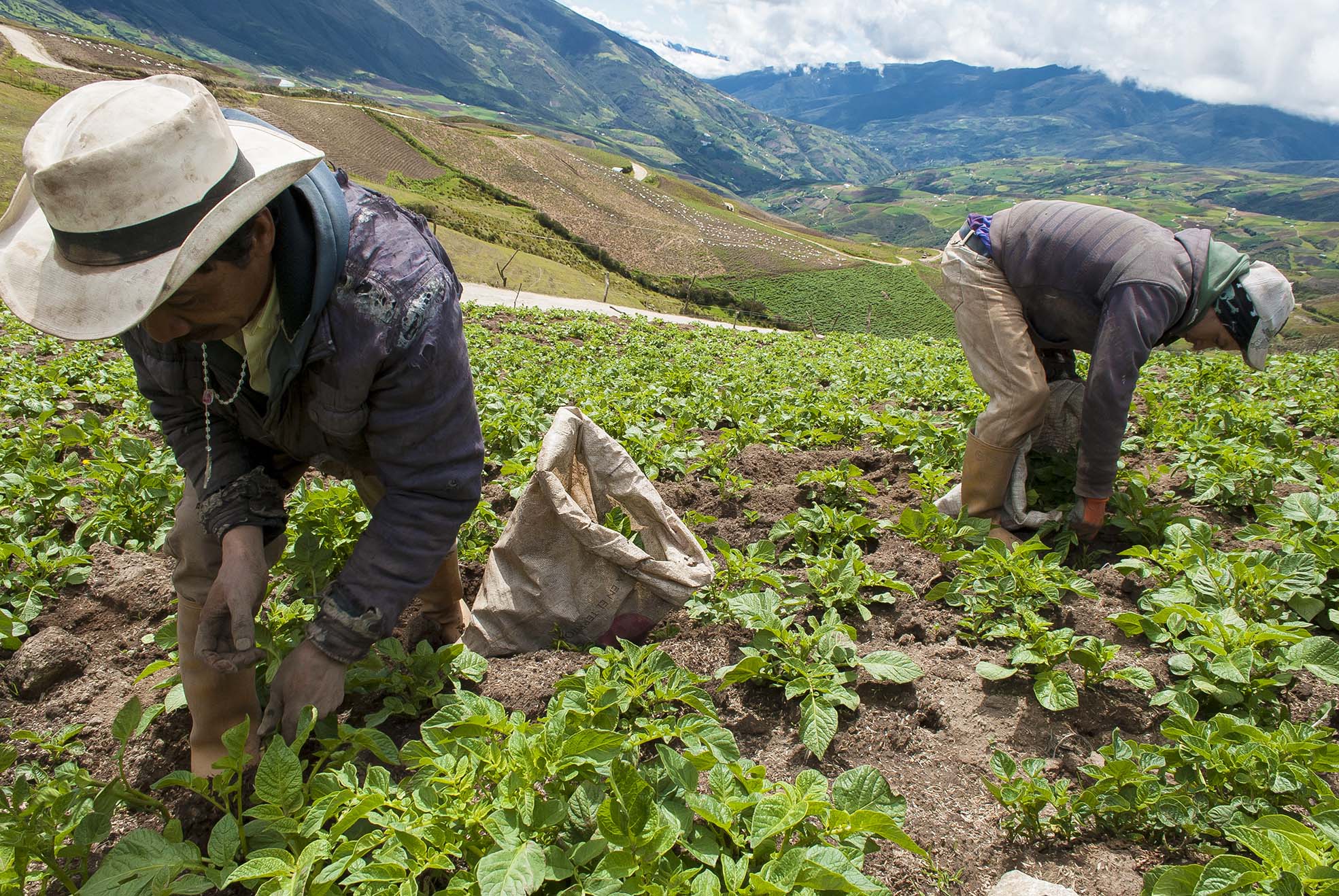 El “balance agridulce” del agro