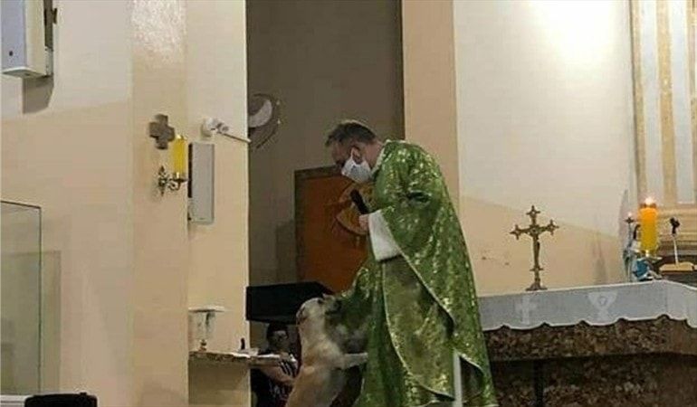 En plena misa, sacerdote invita a feligreses adoptar perros callejeros