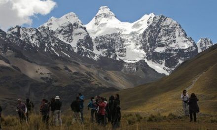 Dos nuevas especies de plantas son descubiertas en los Andes peruanos