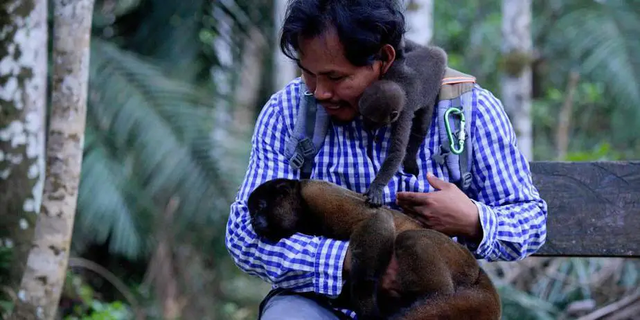 El indígena que protege a los monos huérfanos en la selva amazónica