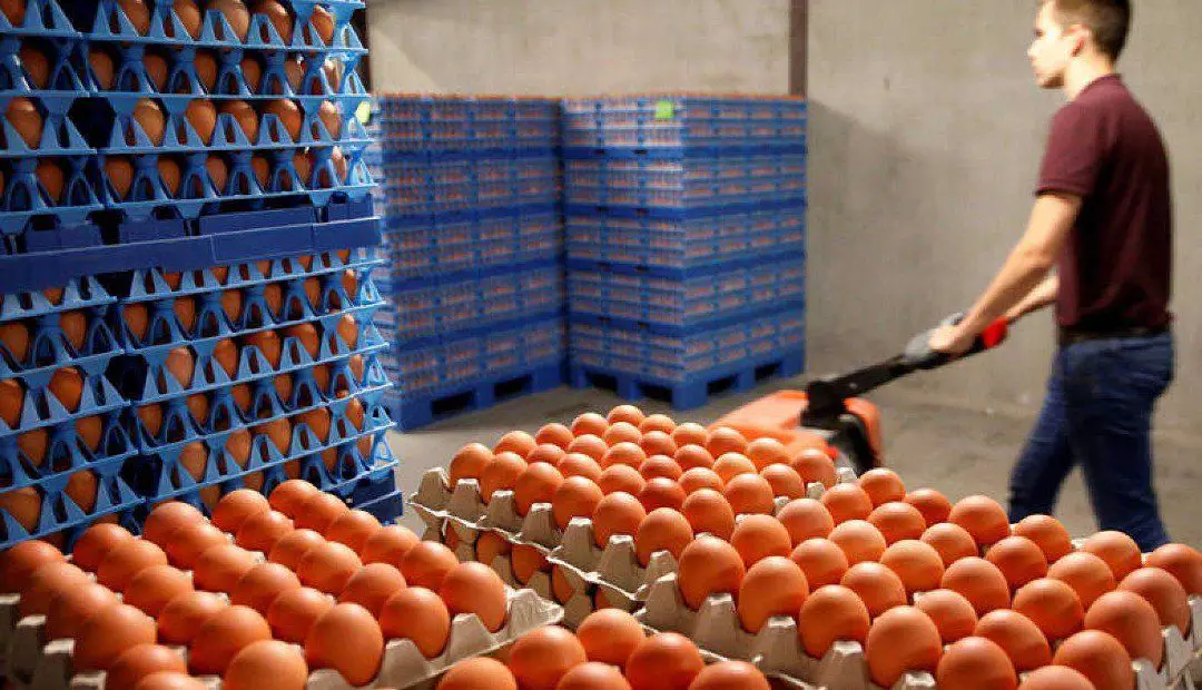 Los colombianos consumen en promedio 291 huevos al año