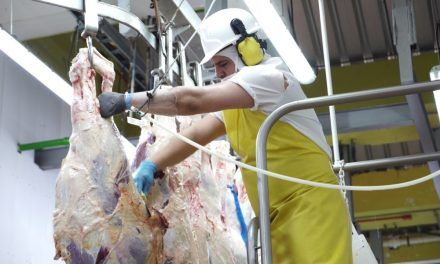 Exportaciones de carne de res y bovinos en pie sumaron USD 231,2 millones a noviembre de 2020