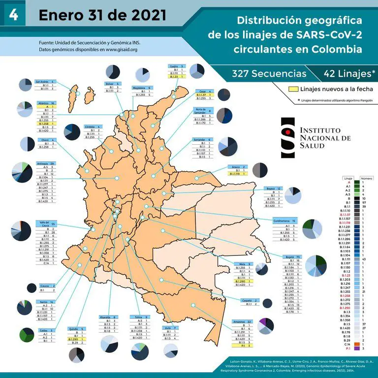 El Instituto Nacional de Salud (INS) confirmó que en Colombia se han detectado 327 secuencias y 42 linajes del SARS-CoV-2. 