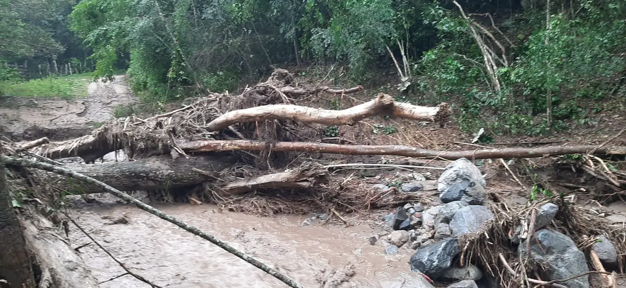 Más de cinco municipios se vieron afectados por las torrenciales lluvias.