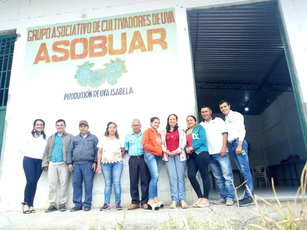 Miembros del Grupo Asociativo Cultivadores de Uva Buenos Aires (Asobuar) del municipio de Tarqui.