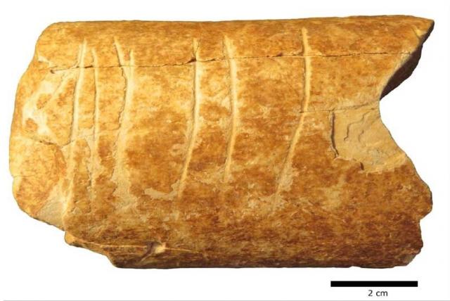 Primer uso de símbolos se pudo dar hace 120 mil años