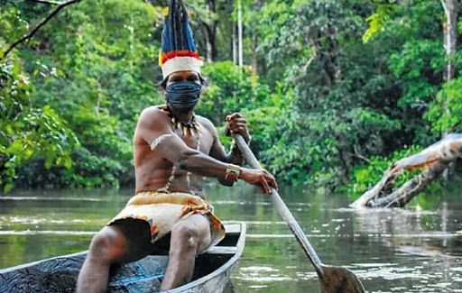 45.000 de las 192 mil vacunas de Sinovac serán para el Amazonas, Inírida y Vaupés