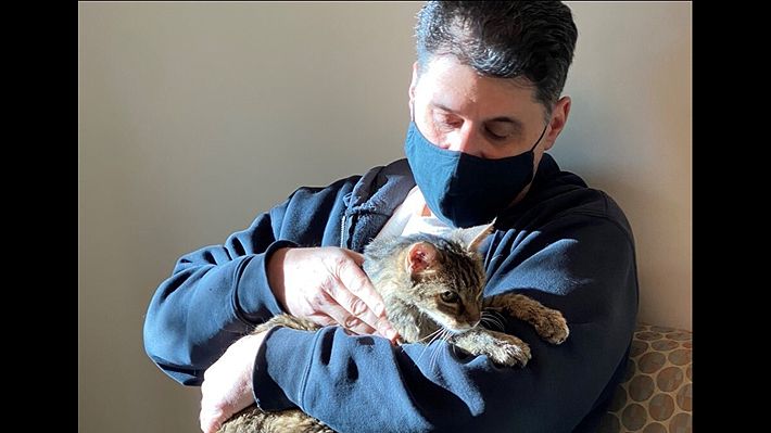 Una gata perdida hace 15 años se reencontró con su dueño en EE. UU.