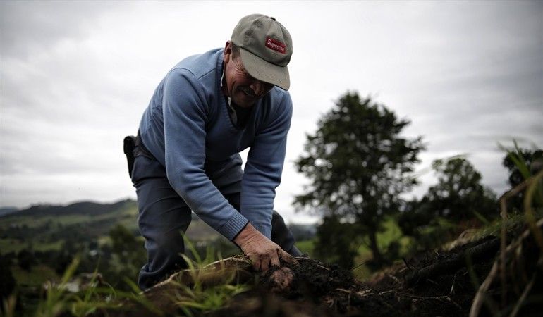Lanzan nueva herramienta de formación virtual para agricultores de Colombia