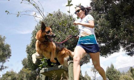 La importancia de la actividad física para los perros