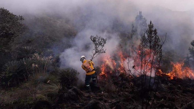 Más de 400 hectáreas resultaron afectadas por incendio en páramo de Saturban