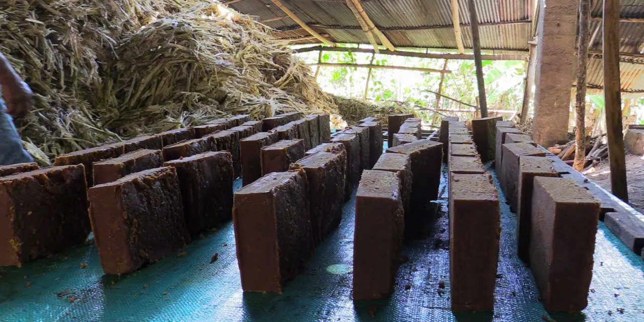 La caña panelera y el café son el tipo de cultivos que han implementado lo orgánico dentro de sus programas de producción.