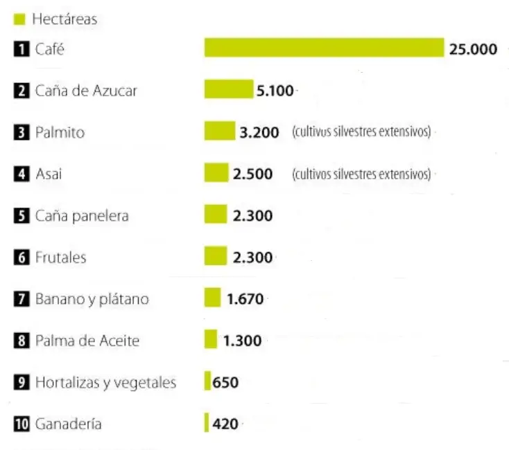 Producción orgánica colombiana aproximada para el año 2021.