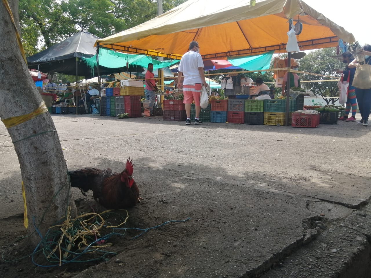Mercado campesino de Calixto Leyva, más de 36 años haciendo parte de los neivanos