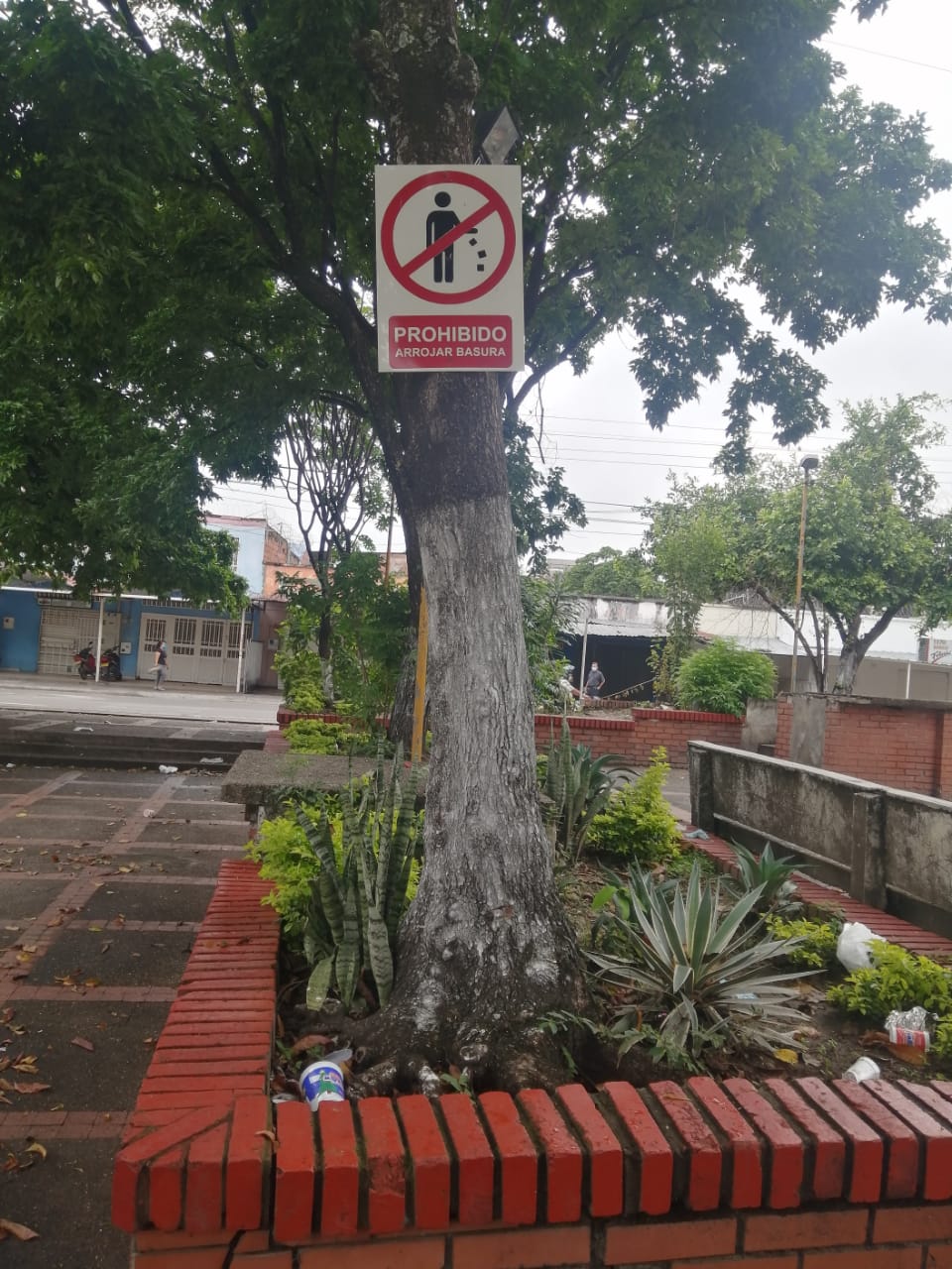 De nada sirven los avisos de prohibido arrojar basura