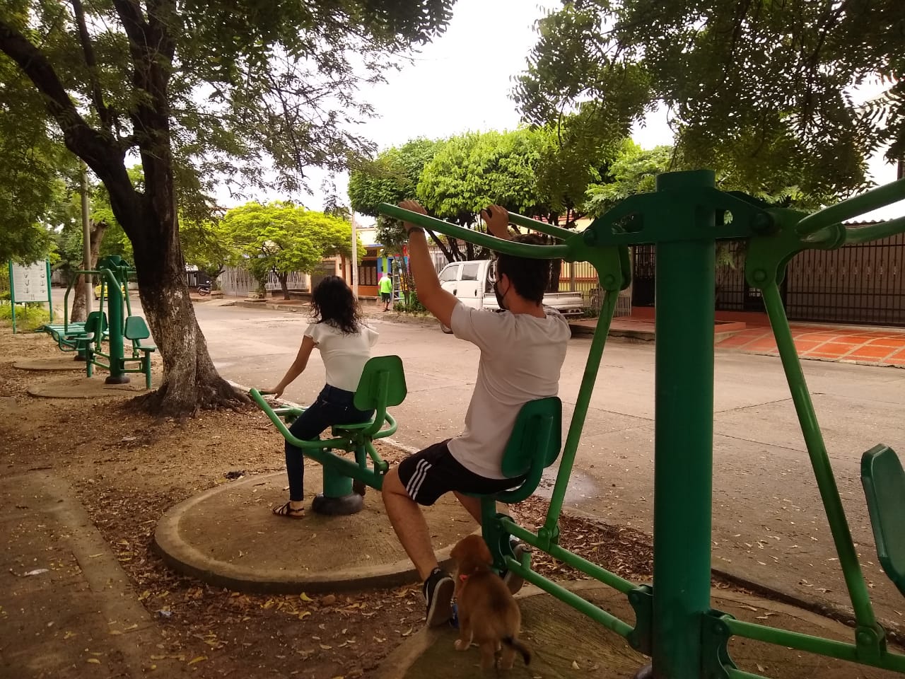 En el parque biosaludable los jóvenes hacen ejercicio