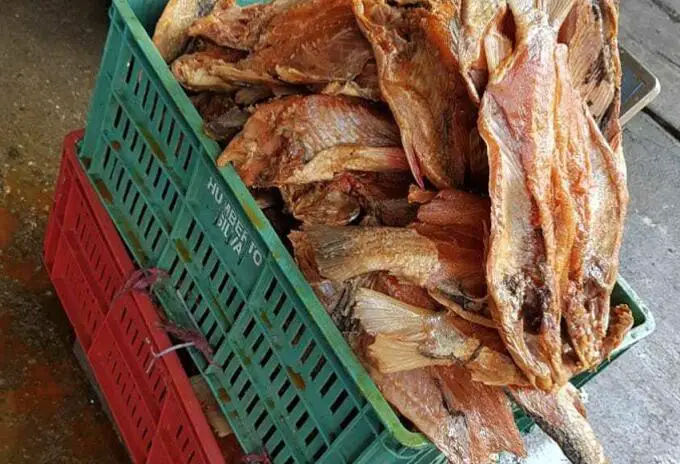 52 kilos de pescado en descomposición fueron decomisados en Neiva